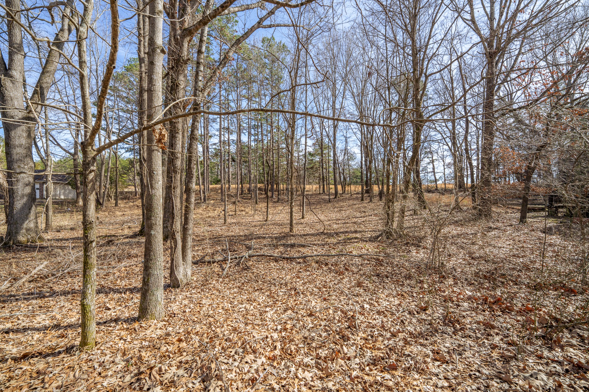 Land in Linden 5