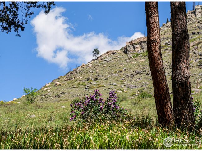 0 Wild River Rd, Home with 0 bedrooms, 0 bathrooms and null parking in Bellvue CO | Image 9