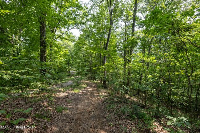 7 Vanmeter Cemetery Rd, Home with 0 bedrooms, 0 bathrooms and null parking in Bee Spring KY | Image 36