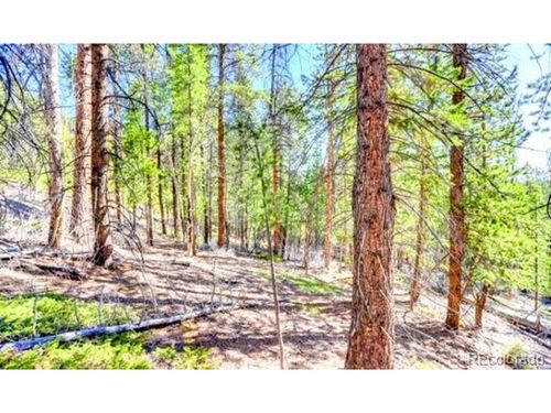 2222 Swift Claim Rd, Georgetown, CO, 80444 | Card Image