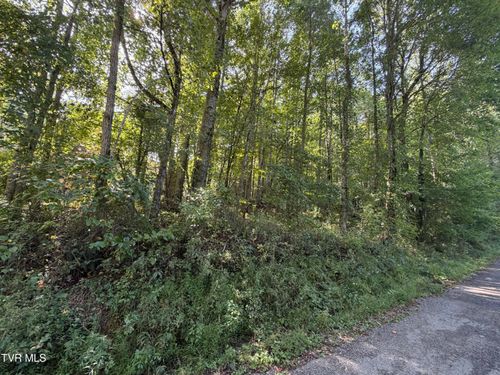 Tbd Woods Ln, Shady Valley, TN, 37688 | Card Image