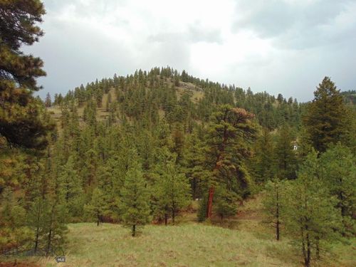 15 Shady Spring Ln, Cascade, MT, 59421-8473 | Card Image