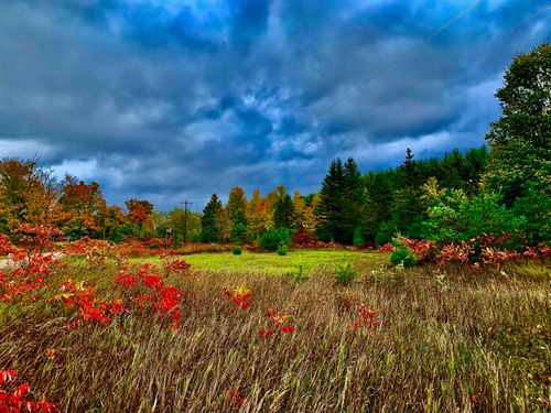 000 King Rd, Benzonia, MI, 49616 | Card Image