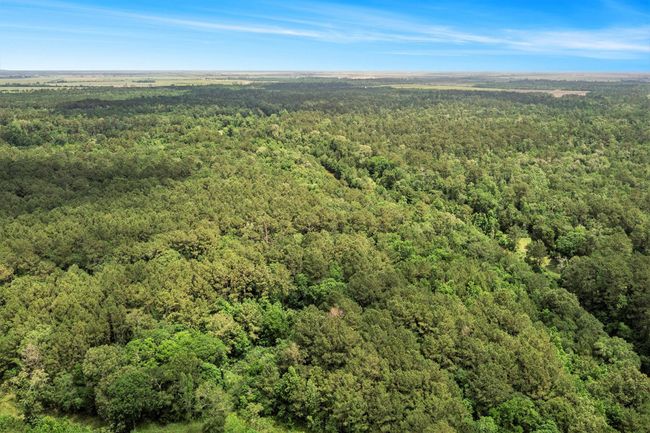 Beautiful Terrain | Image 5