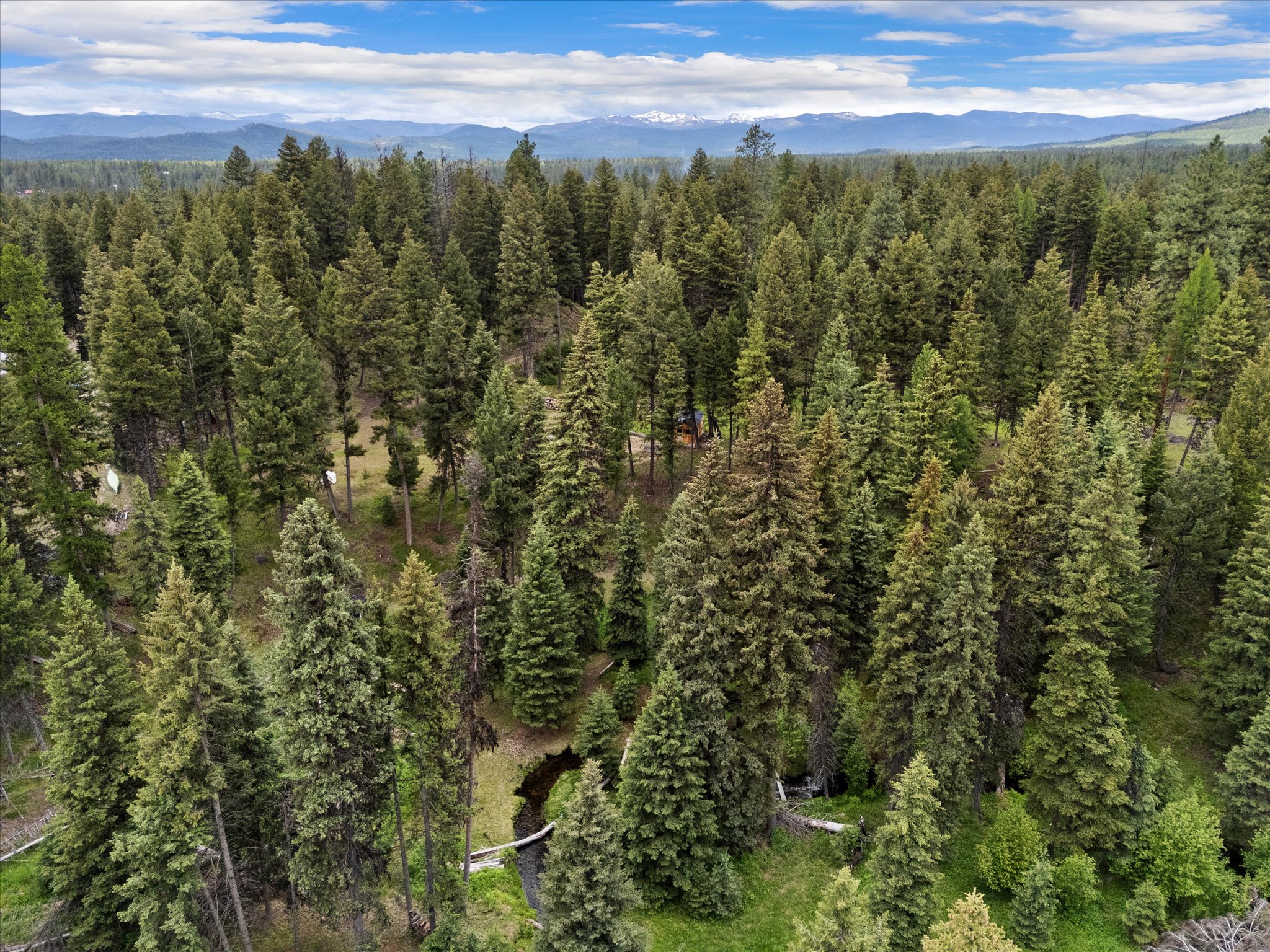 Land in Seeley Lake 5