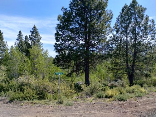 9-0 Canadian Honker Ln, Chiloquin, OR, 97624 | Card Image