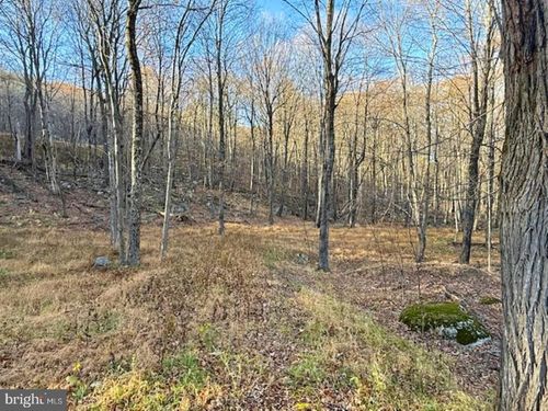 LOT 38 Monongahela Ln, Maysville, WV, 26833 | Card Image