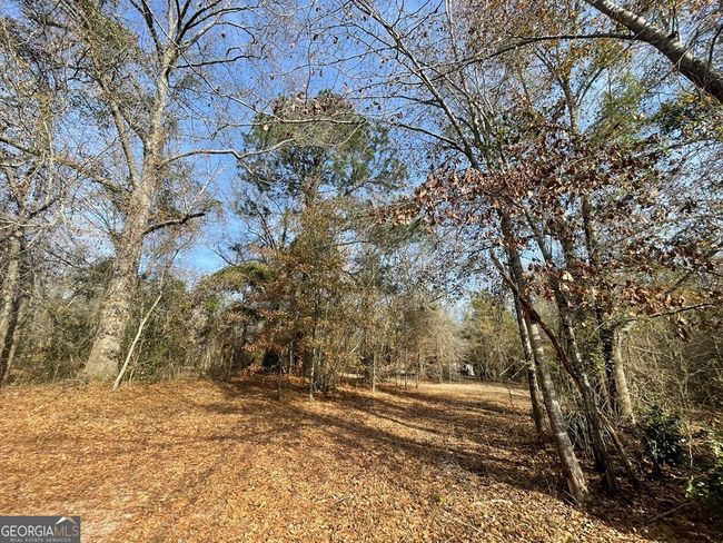0 Oakland Heights Rd, Home with 0 bedrooms, 0 bathrooms and null parking in Sylvester GA | Image 8