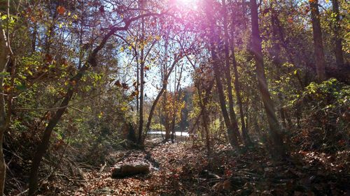 000 Buttermilk Spring Rd, Galena, MO, 65656 | Card Image