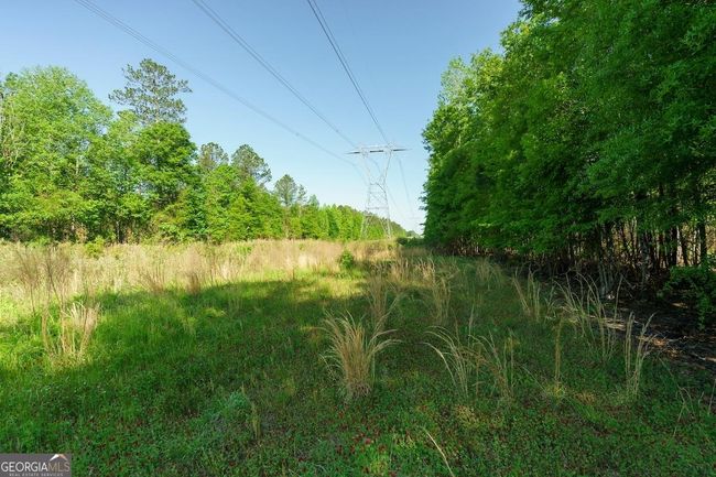 6053 Sun Hill Grange Rd, Home with 0 bedrooms, 0 bathrooms and null parking in Davisboro GA | Image 33