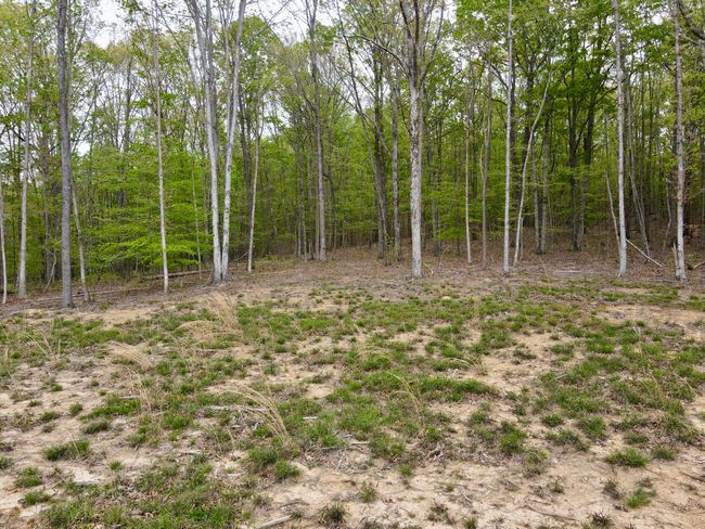 0 Deerwood Dr, Home with 0 bedrooms, 0 bathrooms and null parking in Sewanee TN | Image 23