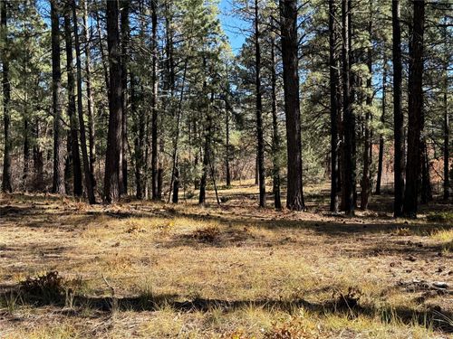 0 Venado Ln, Tierra Amarilla, NM, 87575 | Card Image