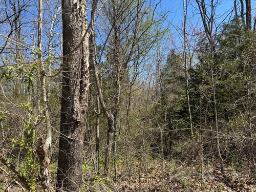 Lot B-21 W Morgan St, Spencer, IN, 47460 | Card Image