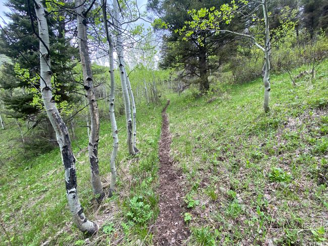 View of nature | Image 38