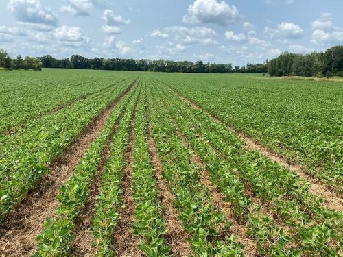 TBD 160th St., Foreston, MN, 56330 | Card Image