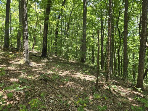 29 Seals Hollow Rd, Woodbury, TN, 37190-5359 | Card Image