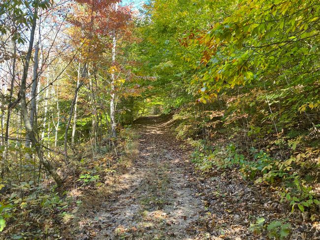 431 Harold Luke Rd, House other with 4 bedrooms, 4 bathrooms and null parking in Campton KY | Image 14