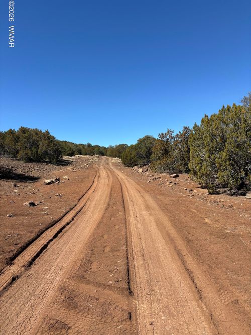 15, 17, 21 Pine (Cr8100) Drive, Concho, AZ, 85924 | Card Image