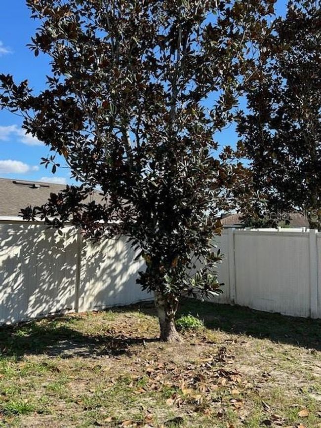 3467 Arabesque Dr, House other with 3 bedrooms, 2 bathrooms and null parking in DELAND FL | Image 21