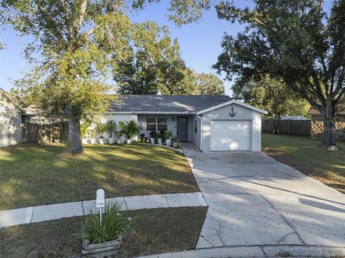 11305 Silverleaf Ct, RIVERVIEW, FL, 33579-7039 | Card Image