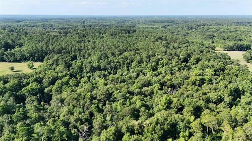 576 Cox Rd, Monticello, FL, 32344-5568 | Card Image