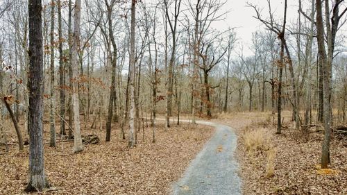 907 Shahan Ln, Birchwood, TN, 37308-6903 | Card Image
