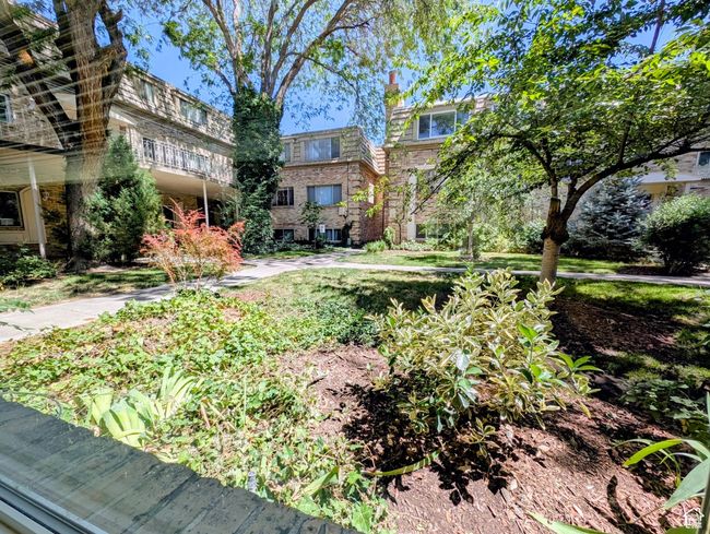 View of yard | Image 7