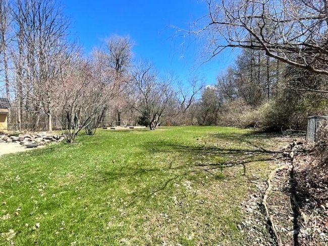 Backyard 2 | Image 23