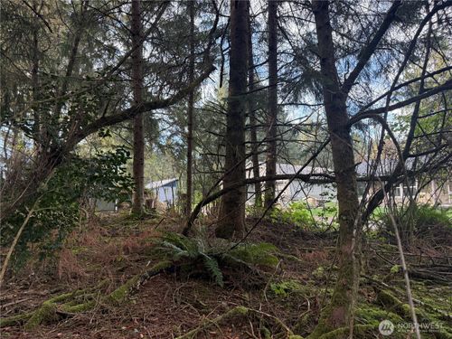 142 XXX 142nd Lane, Long Beach, WA, 98631 | Card Image