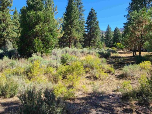 598 Longhorn Dr, Loyalton, CA, 96118-5712 | Card Image