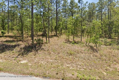 454605 Nw Geranium Ave, Dunnellon, FL, 34431 | Card Image