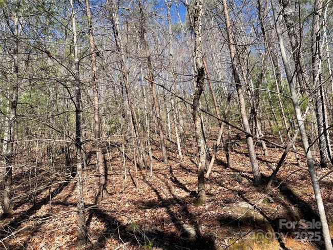 0000 Pine Log Rd, Home with 0 bedrooms, 0 bathrooms and null parking in Warne NC | Image 15