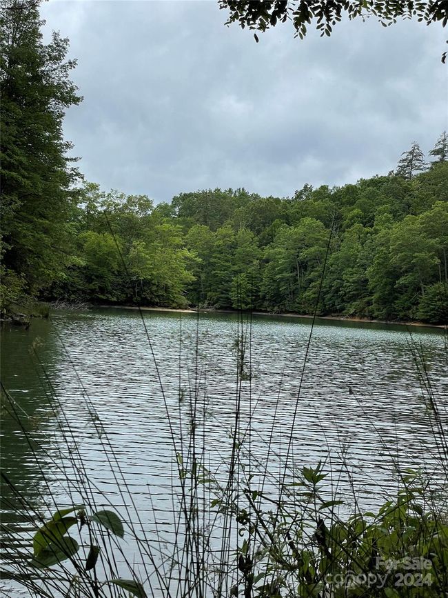25 - 25 Rainbow Trout Dr, Home with 0 bedrooms, 0 bathrooms and null parking in Tuckasegee NC | Image 9