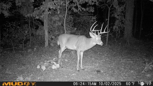 00 Sunset Shores Ln, Climax Springs, MO, 65324 | Card Image