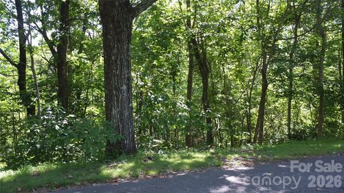 21-and-11-11 & 21 Sunset Ridge Drive, Columbus, NC, 28722 | Card Image