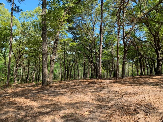 3200 Shadow Pine Dr, Home with 0 bedrooms, 0 bathrooms and null parking in LaRue TX | Image 7