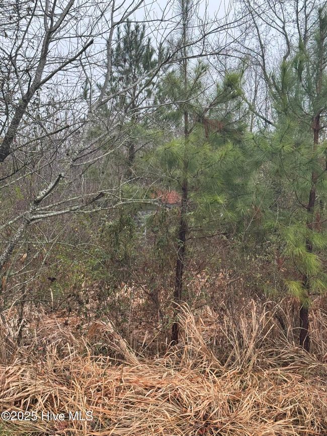894 Swamp Road, Home with 0 bedrooms, 0 bathrooms and null parking in Pantego NC | Image 8