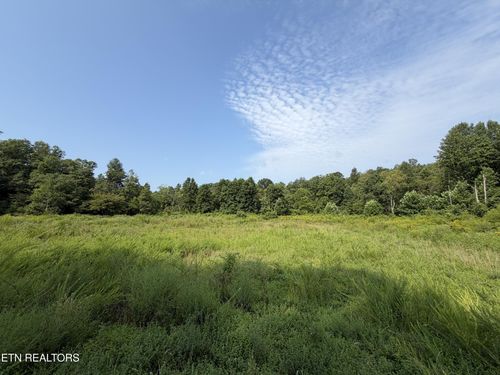 14030 Skull Creek Rd, Robbins, TN, 37852 | Card Image