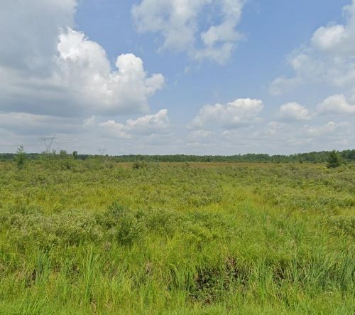 xx County Road 6, Kettle River, MN, 55757 | Card Image