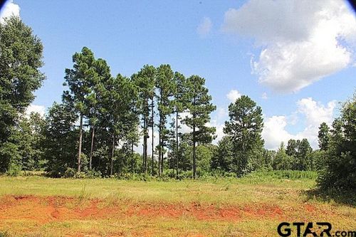 900 Stone Chimney Rd. (Lot 20 Cr 3608), Bullard, TX, 75757 | Card Image