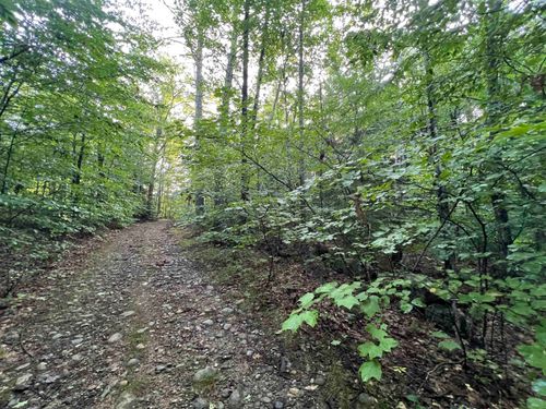 Map 6, Lot 38 Chadwick Hill Road, Webster, NH, 03303 | Card Image