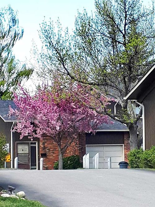 2-10001 Brookpark Boulevard Sw, Calgary, AB, T2W3E3 | Card Image