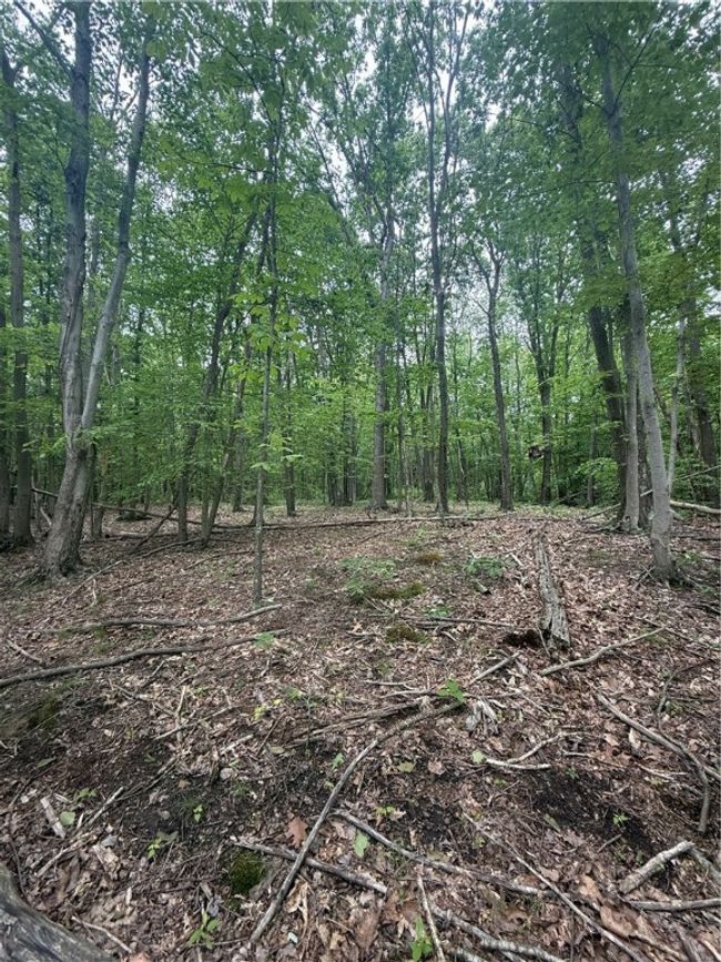 520 Palmer Rd, House other with 2 bedrooms, 1 bathrooms and null parking in German Twp PA | Image 4
