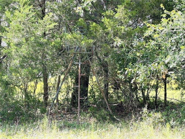 1435 Shaws Bend Rd, Home with 3 bedrooms, 2 bathrooms and null parking in Columbus TX | Image 34