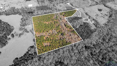 000 Eagle Court Rd, Diana, TX, 75640 | Card Image