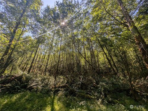 99993 Dowans Creek Rd, Forks, WA, 98331 | Card Image