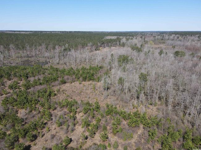 00 Highway 278 Highway, Home with 0 bedrooms, 0 bathrooms and null parking in Rosston AR | Image 18