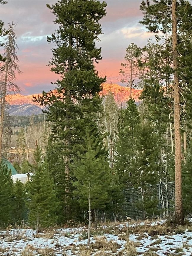 View From Living Room | Image 30