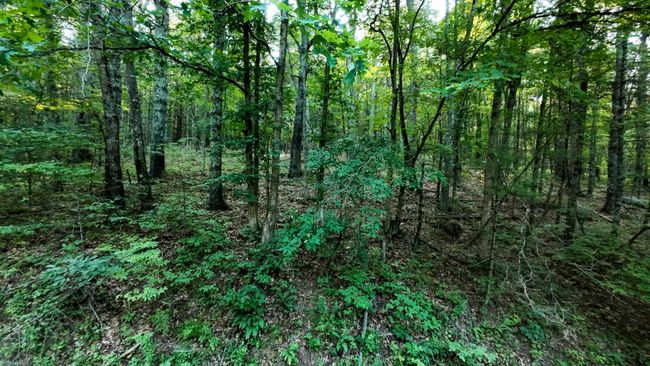 Parcel 2-26 | Image 14