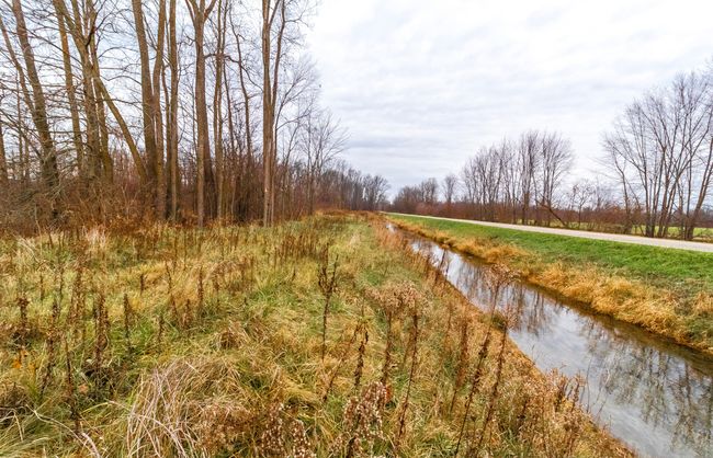 Bottom Creek | Image 11